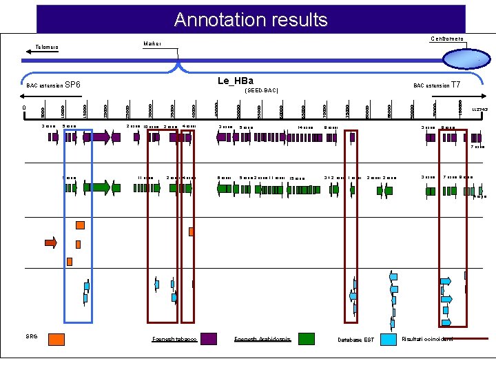 Annotation results 5 esoni 2 esoni 4 esoni 3 esoni 5 esoni 14 esoni