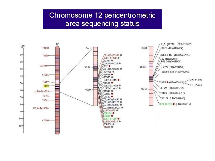 Chromosome 12 pericentrometric area sequencing status 