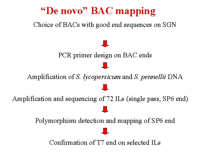 “De novo” BAC mapping Choice of BACs with good end sequences on SGN PCR