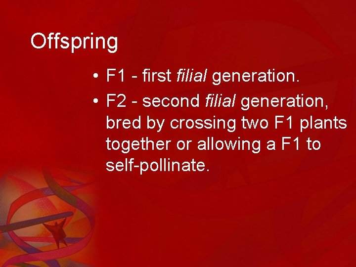 Offspring • F 1 - first filial generation. • F 2 - second filial
