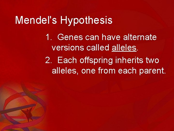 Mendel's Hypothesis 1. Genes can have alternate versions called alleles. 2. Each offspring inherits