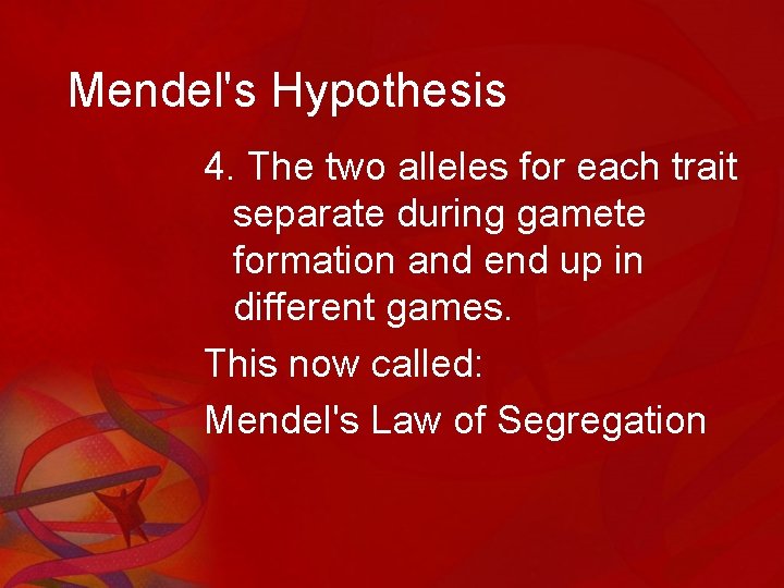 Mendel's Hypothesis 4. The two alleles for each trait separate during gamete formation and