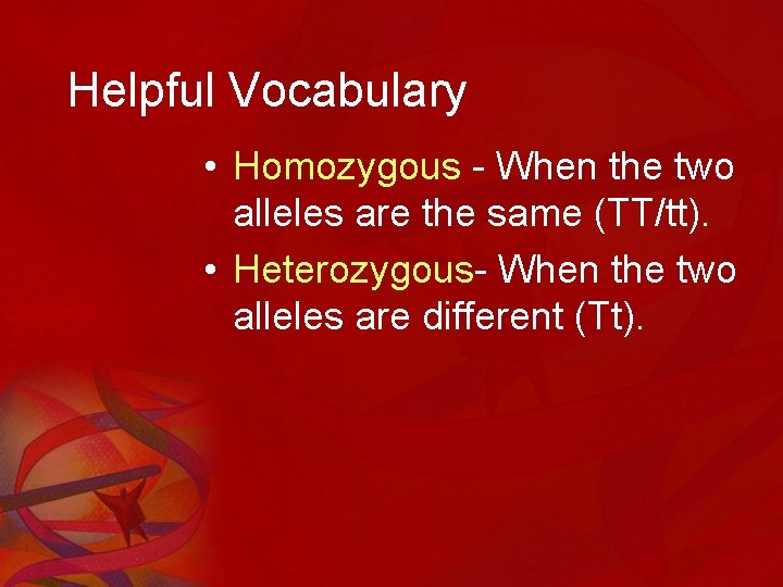 Helpful Vocabulary • Homozygous - When the two alleles are the same (TT/tt). •