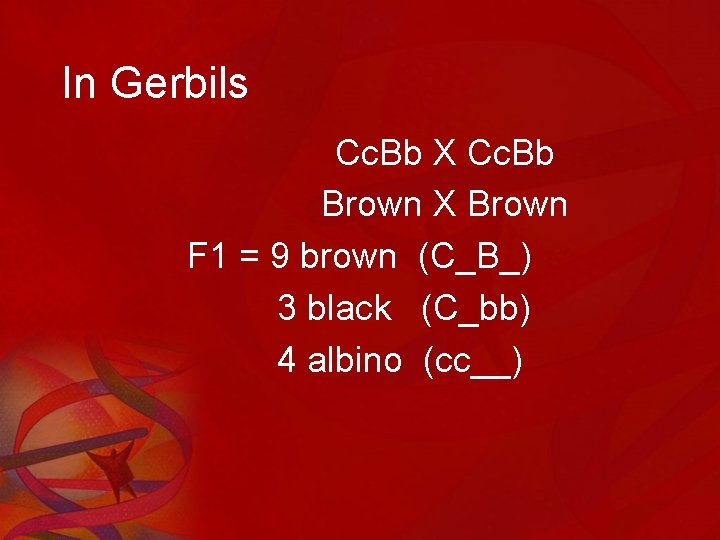 In Gerbils Cc. Bb X Cc. Bb Brown X Brown F 1 = 9