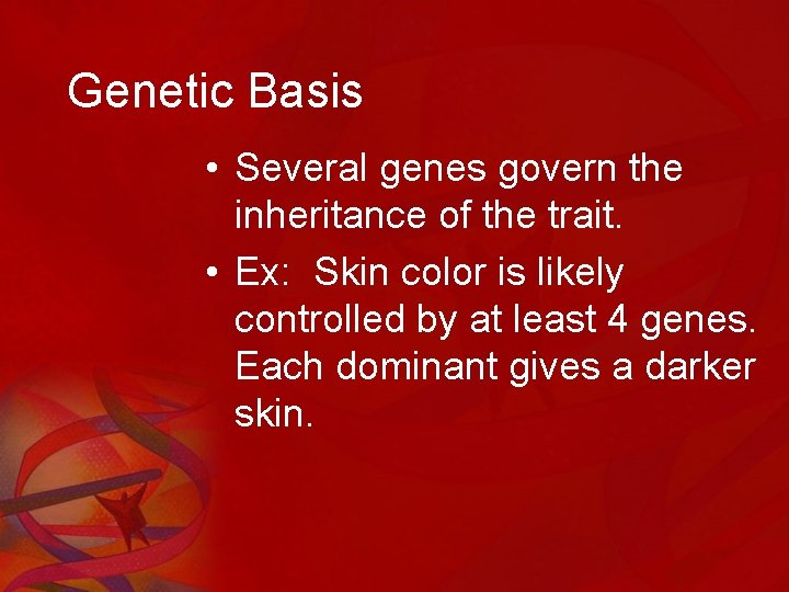 Genetic Basis • Several genes govern the inheritance of the trait. • Ex: Skin