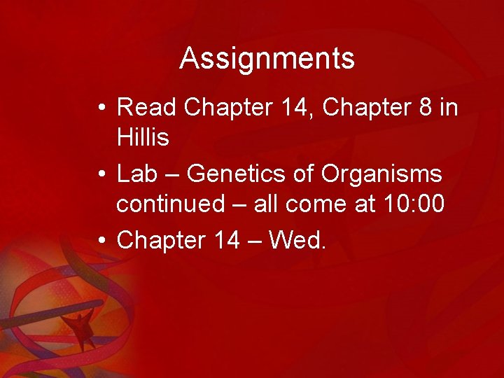 Assignments • Read Chapter 14, Chapter 8 in Hillis • Lab – Genetics of