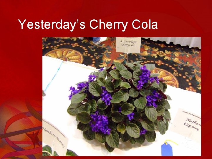 Yesterday’s Cherry Cola 