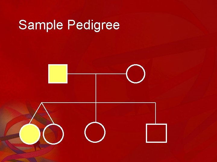 Sample Pedigree 