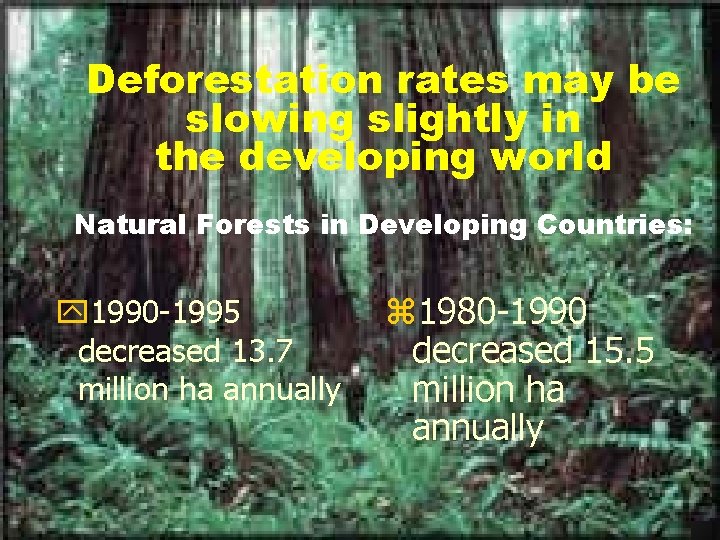 Deforestation rates may be slowing slightly in the developing world Natural Forests in Developing