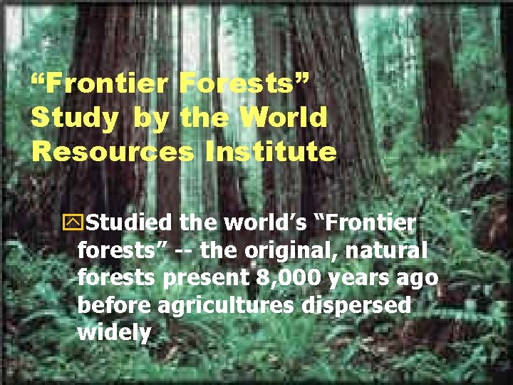 “Frontier Forests” Study by the World Resources Institute y. Studied the world’s “Frontier forests”