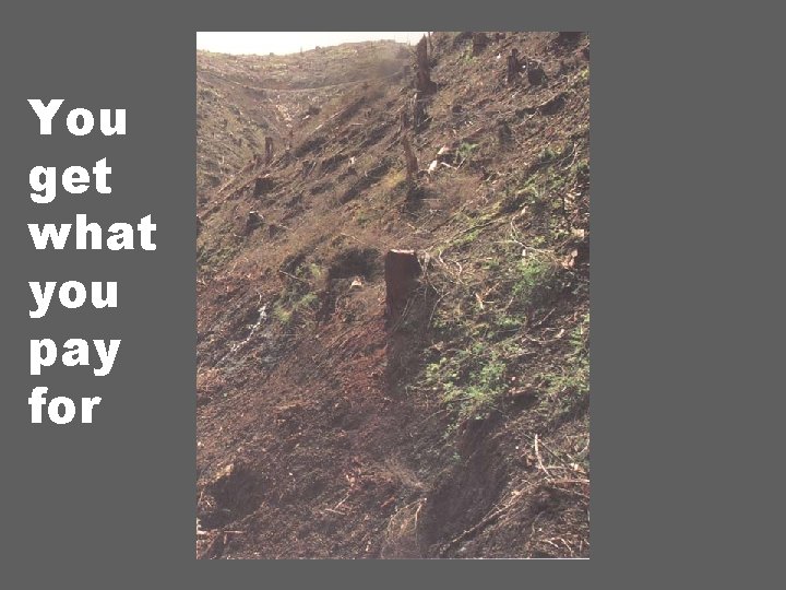 You get what you pay for 