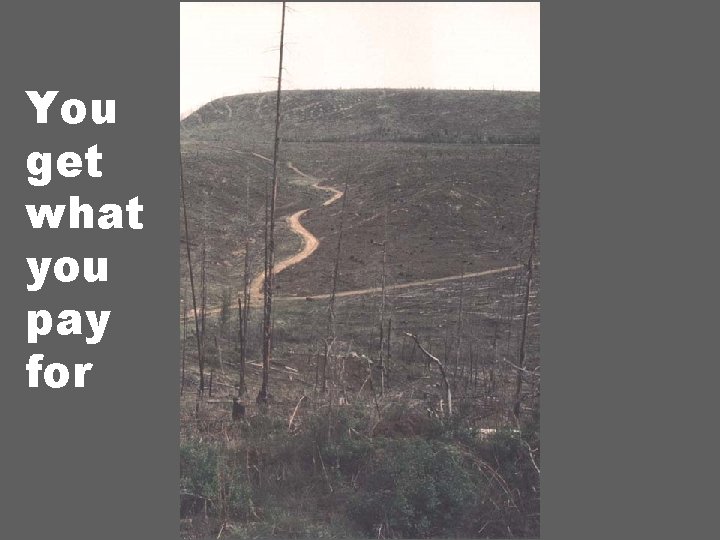 You get what you pay for 