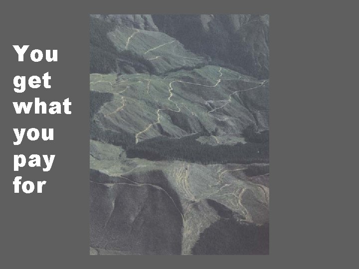 You get what you pay for 