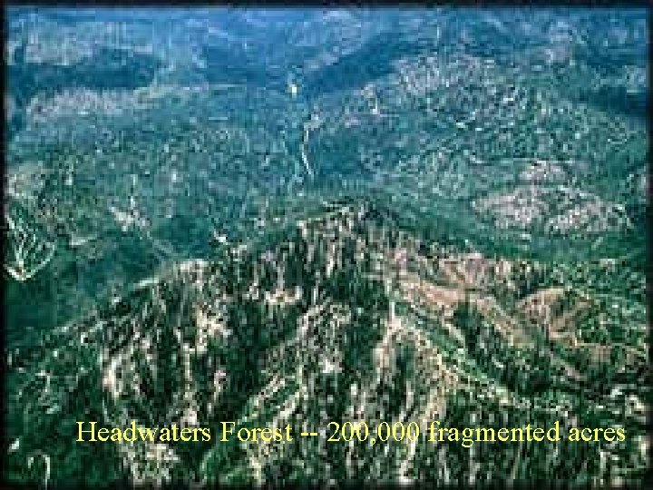 Headwaters Forest -- 200, 000 fragmented acres 