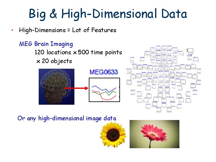 Big & High-Dimensional Data • High-Dimensions = Lot of Features MEG Brain Imaging 120