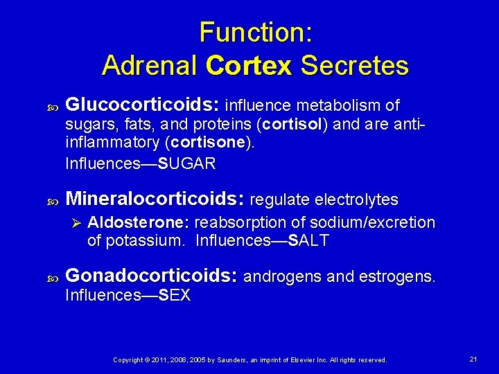Function: Adrenal Cortex Secretes Glucocorticoids: influence metabolism of sugars, fats, and proteins (cortisol) and