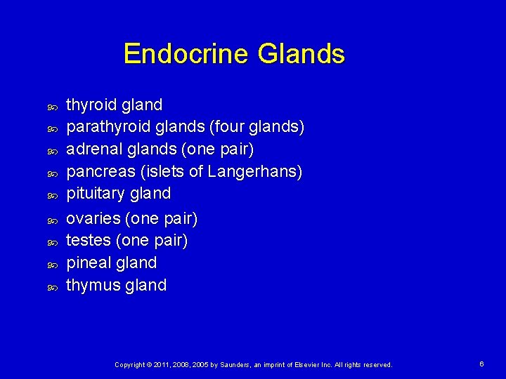 Endocrine Glands thyroid gland parathyroid glands (four glands) adrenal glands (one pair) pancreas (islets