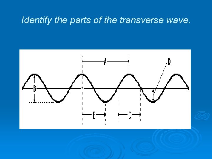 Identify the parts of the transverse wave. 