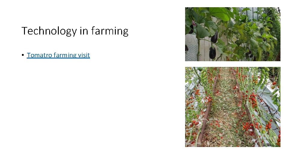 Technology in farming • Tomatro farming visit 