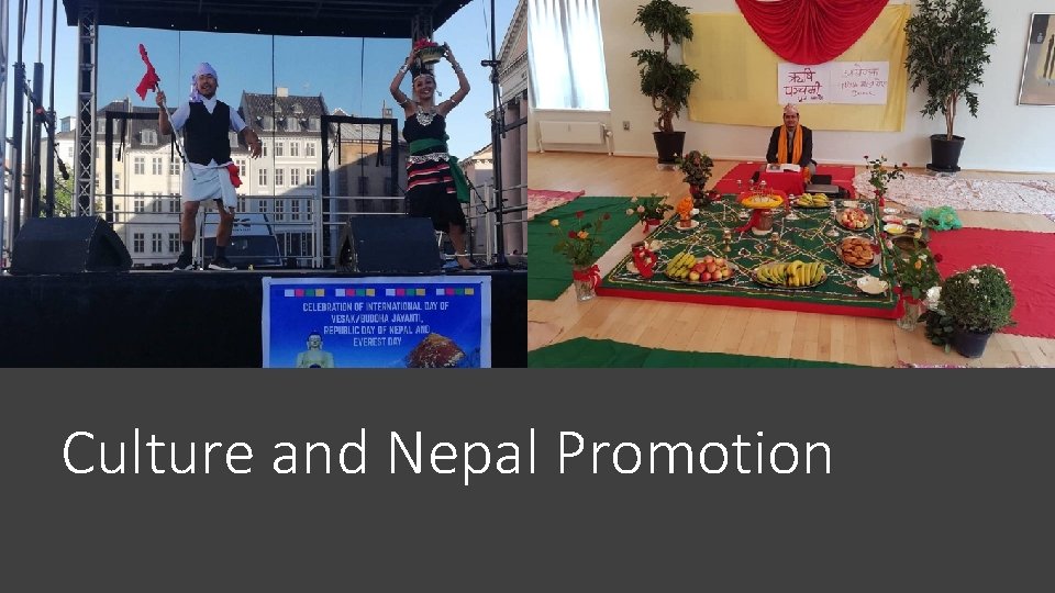 Culture and Nepal Promotion 