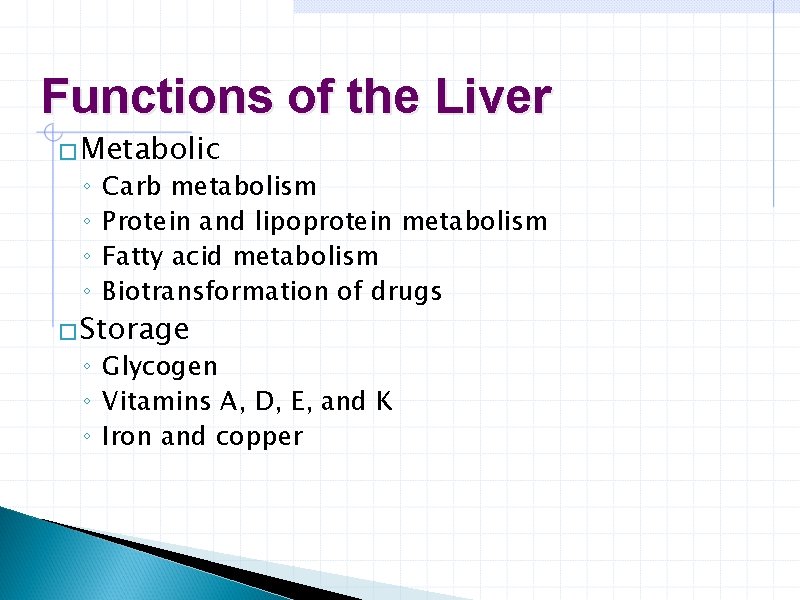 Functions of the Liver � Metabolic ◦ ◦ Carb metabolism Protein and lipoprotein metabolism