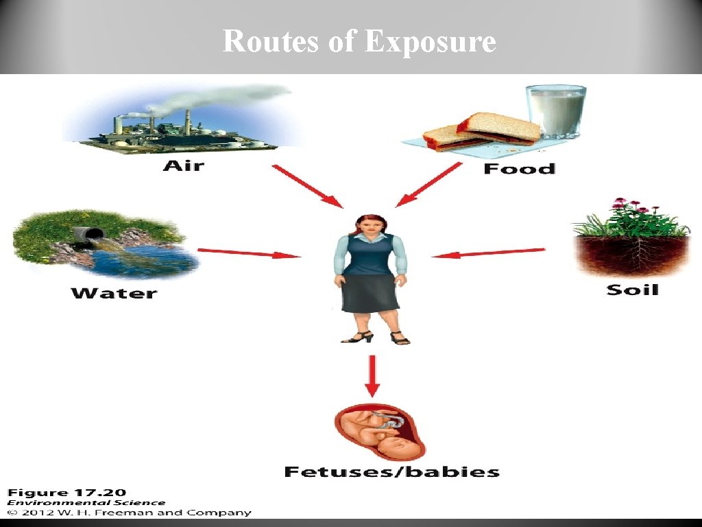 Routes of Exposure 