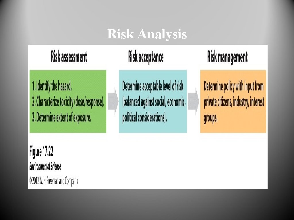 Risk Analysis 