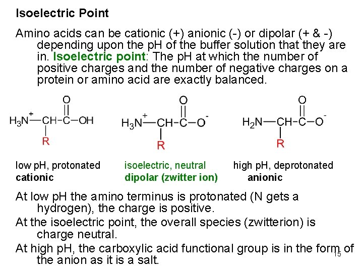 Isoelectric Point Amino acids can be cationic (+) anionic (-) or dipolar (+ &