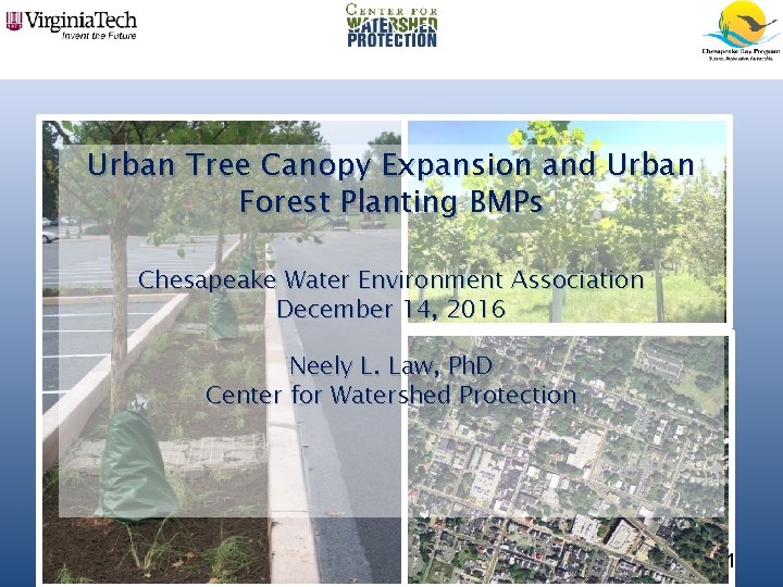 Urban Tree Canopy Expansion and Urban Forest Planting BMPs Chesapeake Water Environment Association December