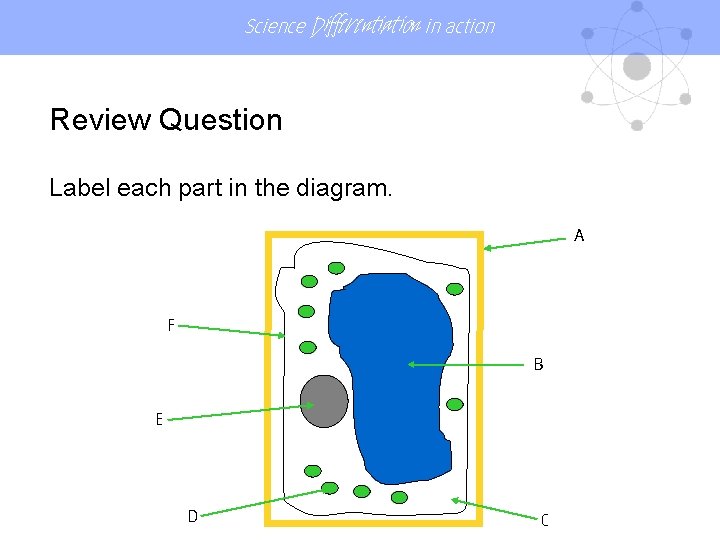 Science Differentiation in action Review Question Label each part in the diagram. A F Science Differentiation in action Review Question Label each part in the diagram. A F