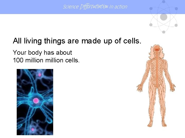 Science Differentiation in action All living things are made up of cells. Your body Science Differentiation in action All living things are made up of cells. Your body