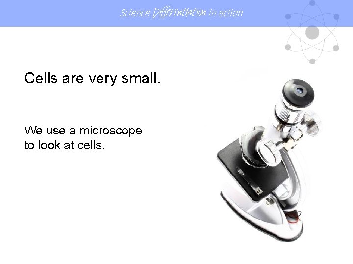 Science Differentiation in action Cells are very small. We use a microscope to look Science Differentiation in action Cells are very small. We use a microscope to look