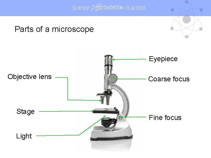 Science Differentiation in action Parts of a microscope Eyepiece Objective lens Stage Light Coarse Science Differentiation in action Parts of a microscope Eyepiece Objective lens Stage Light Coarse