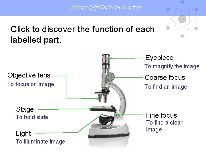 Science Differentiation in action Click to discover the function of each labelled part. Eyepiece Science Differentiation in action Click to discover the function of each labelled part. Eyepiece