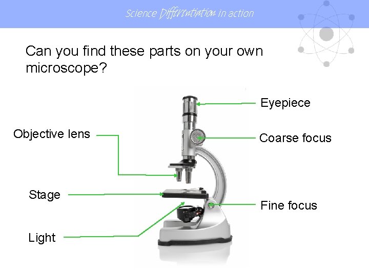 Science Differentiation in action Can you find these parts on your own microscope? Eyepiece Science Differentiation in action Can you find these parts on your own microscope? Eyepiece