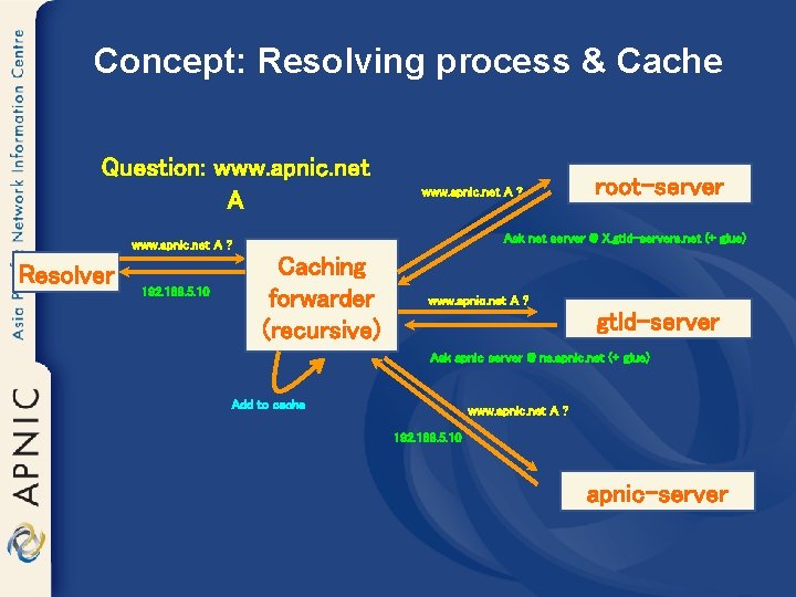 Concept: Resolving process & Cache Question: www. apnic. net A ? Ask net server