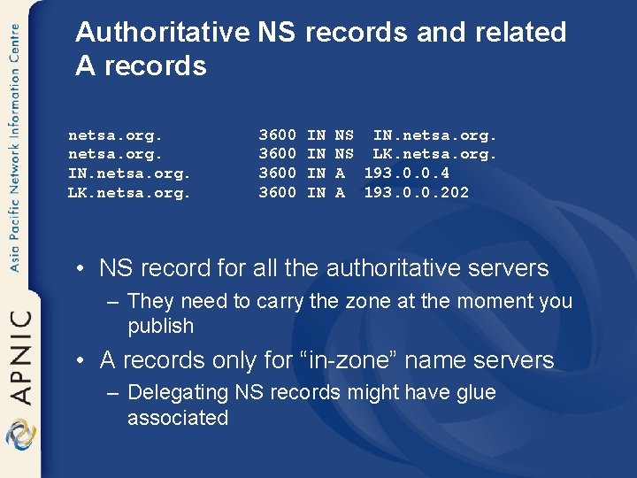 Authoritative NS records and related A records netsa. org. IN. netsa. org. LK. netsa.