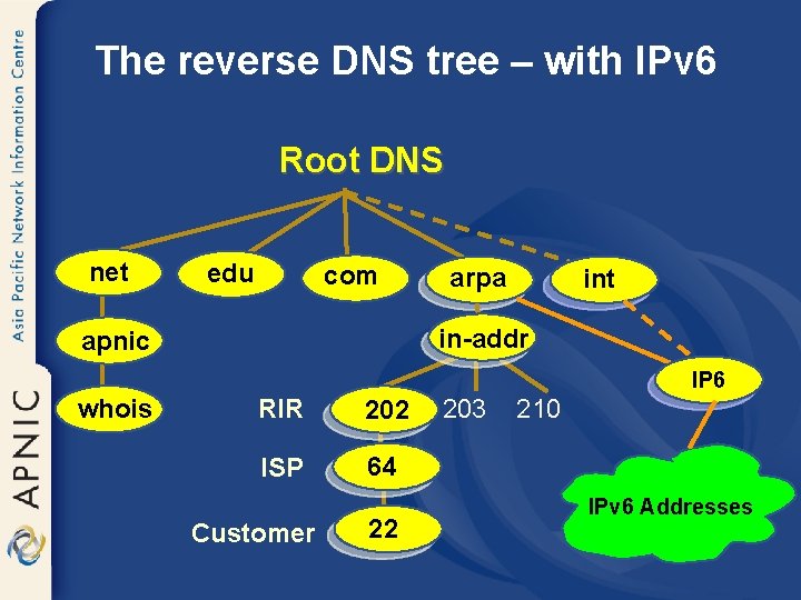 The reverse DNS tree – with IPv 6 Root DNS net edu com int