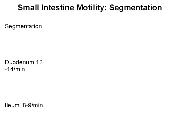 Small Intestine Motility: Segmentation Duodenum 12 -14/min Ileum 8 -9/min 
