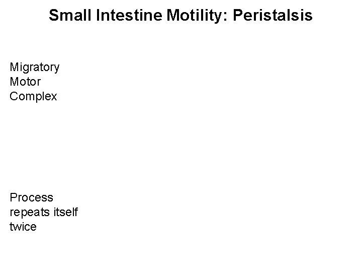 Small Intestine Motility: Peristalsis Migratory Motor Complex Process repeats itself twice 
