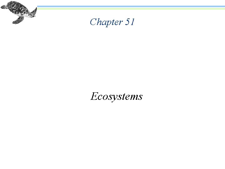 Chapter 51 Ecosystems 