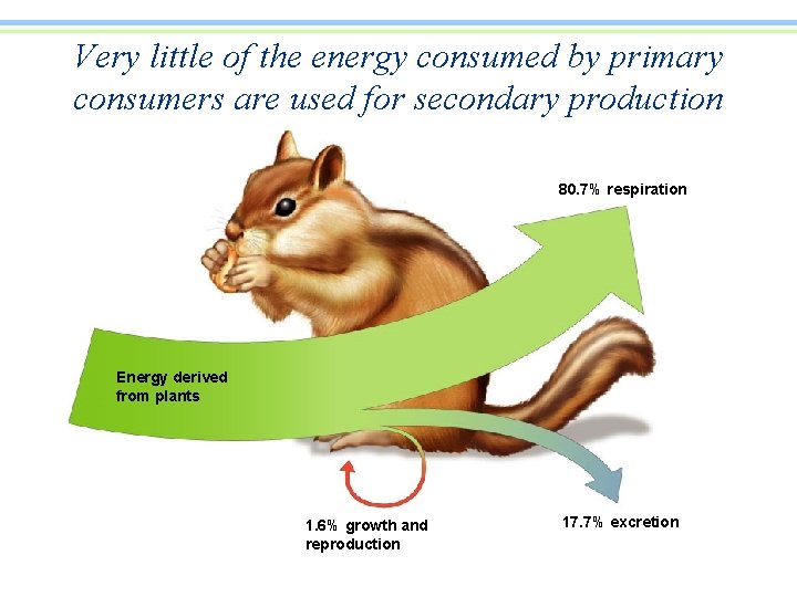 Very little of the energy consumed by primary consumers are used for secondary production