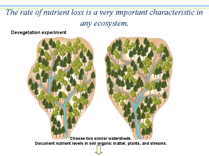 The rate of nutrient loss is a very important characteristic in any ecosystem. Devegetation