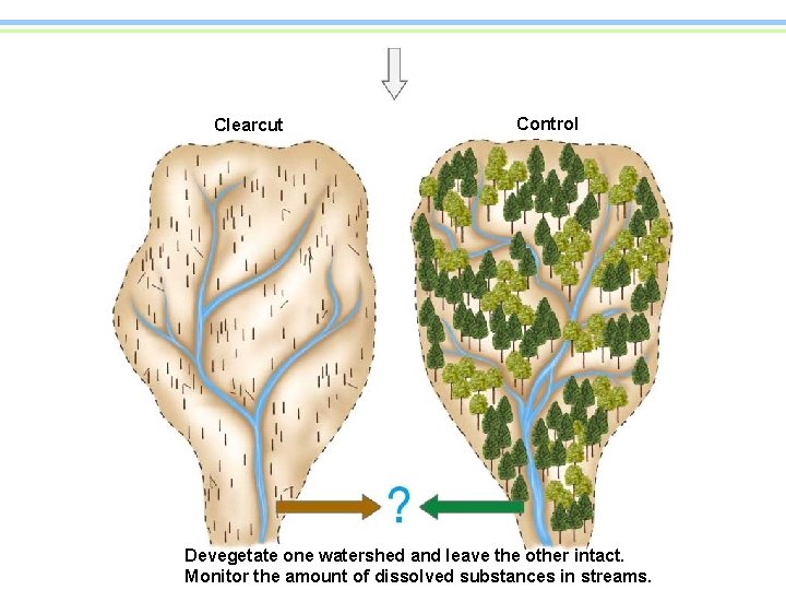 Clearcut Control Devegetate one watershed and leave the other intact. Monitor the amount of