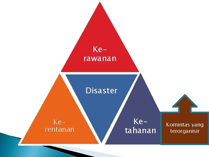 Kerawanan Disaster Kerentanan Ketahanan Komintas yang terorganisir 