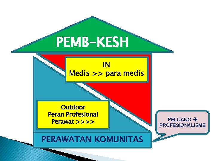 PEMB-KESH IN Medis >> para medis Outdoor Peran Profesional Perawat >>>> PERAWATAN KOMUNITAS PELUANG