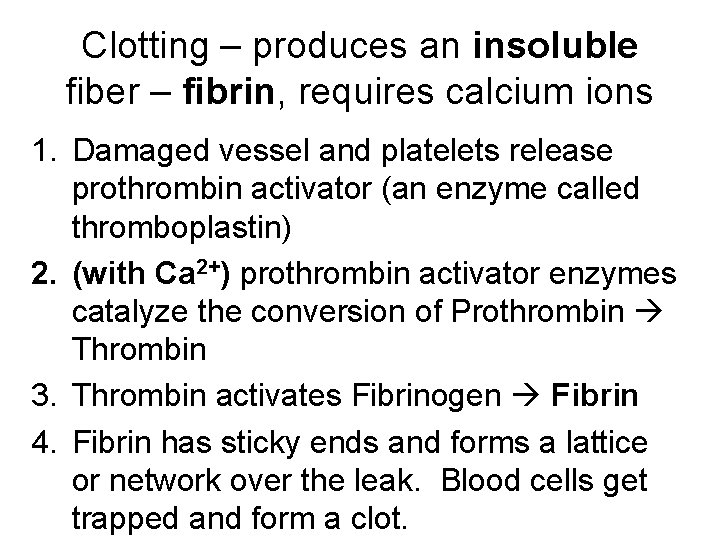 Clotting – produces an insoluble fiber – fibrin, requires calcium ions 1. Damaged vessel