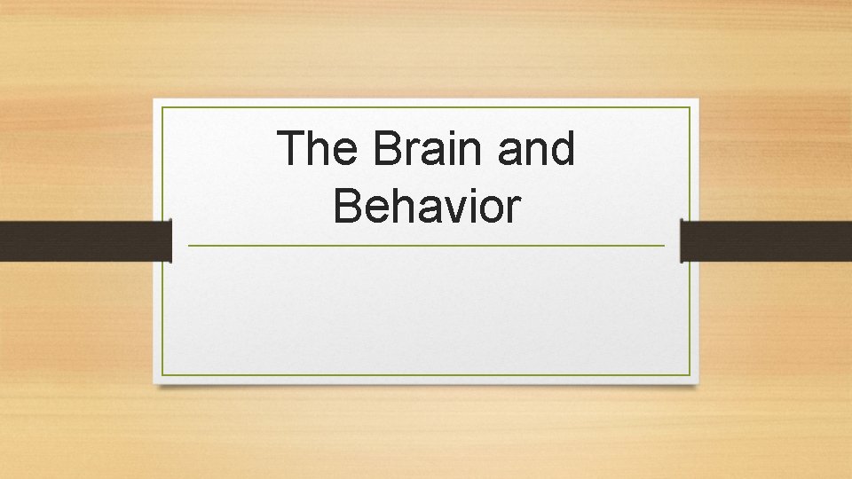 The Brain and Behavior 