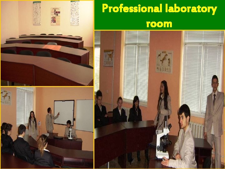 Professional laboratory room 