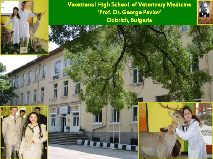 Vocational High School of Veterinary Medicine ‘Prof. Dr. George Pavlov’ Dobrich, Bulgaria 